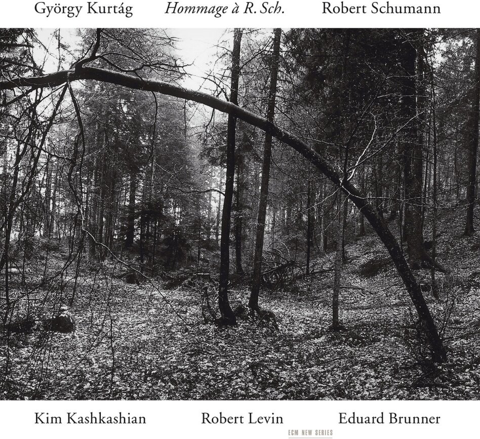 Kashkashian Kim / Levin / Brunner & Schumann Robert / Kurtag György - Hommage An Robert Schumann