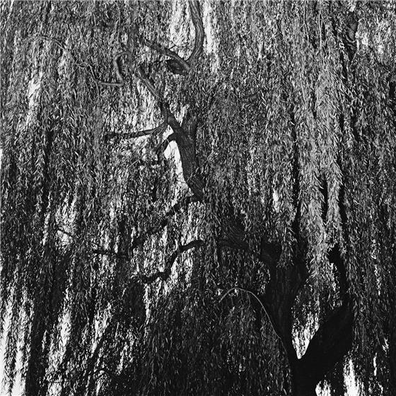 Kassette - Far CD + LP