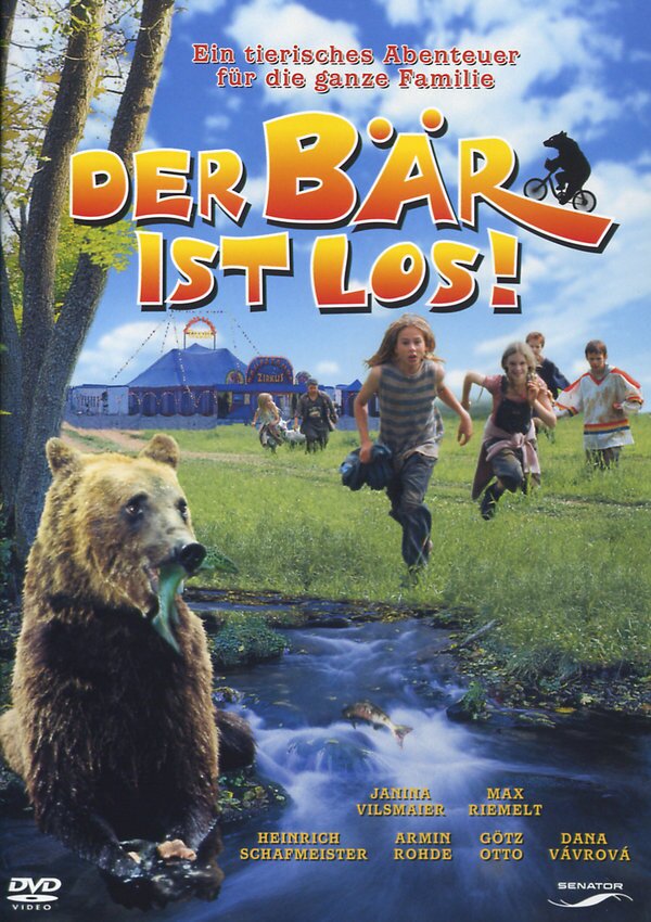 Der Bär ist los!
