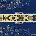 Theo Parrish - Parallel Dimensions Version Remasterisée, LP