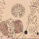 Devendra Banhart - Rejoicing In The Hands / Nino Rojo (LP)