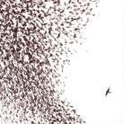 Wilco - Sky Blue Sky (LP)