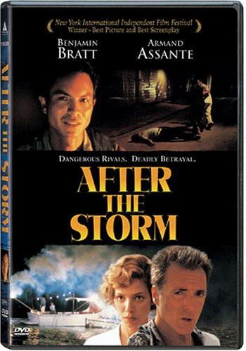 After the storm (2001)
