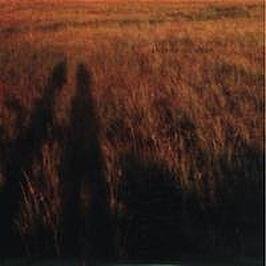 Andrew Coleman - Blame It On Adam (LP)