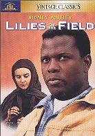 Lilies of the field (1963) s/w