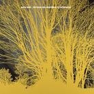 Nada Surf - Stars Are Indifferent To Astronomy (LP)