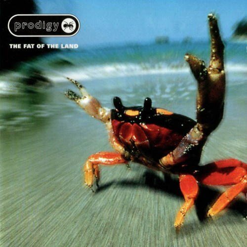The Prodigy - Fat Of The Land 2 LPs