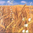 Telepopmusik - Genetic World (2 LPs)