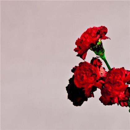 John Legend - Love In The Future (&Eacute;dition Deluxe)
