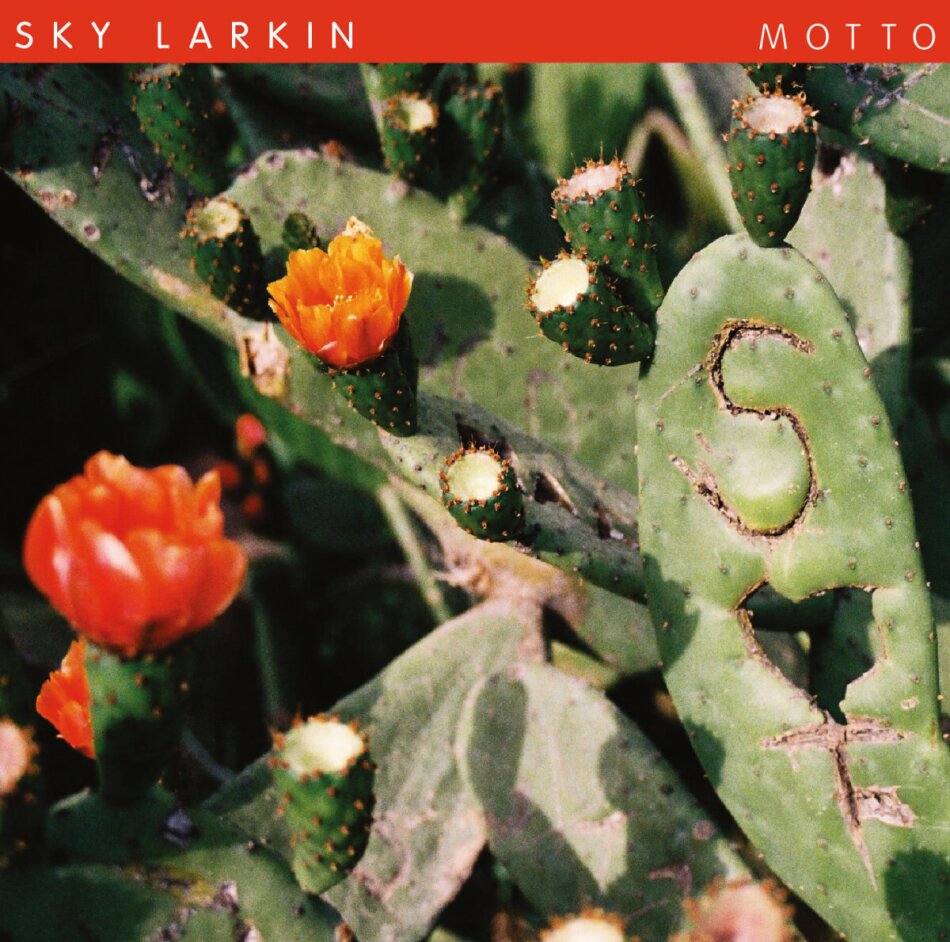 Sky Larkin - Motto LP