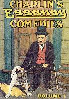 Chaplin's Essanay comedies, vol 1 s/w
