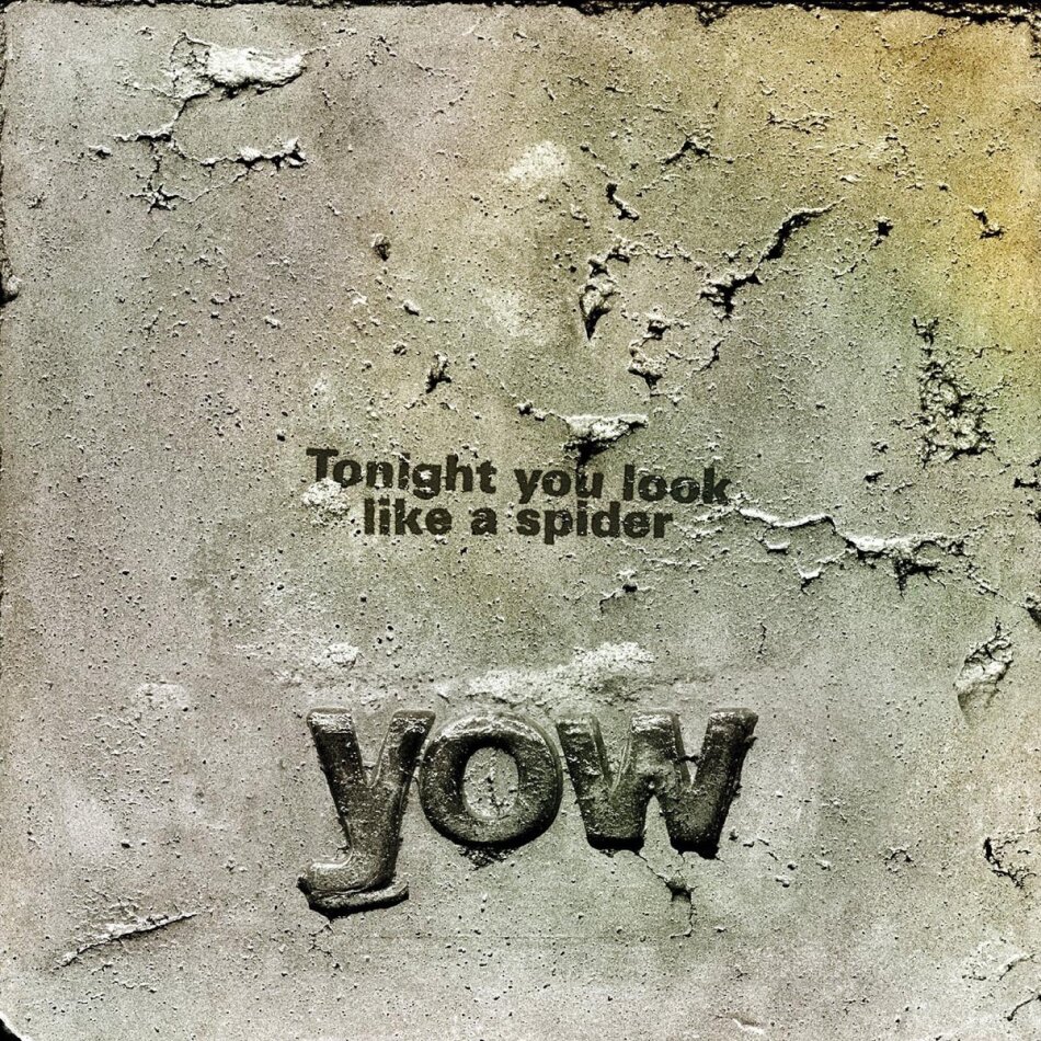 David Yow - Tonight You Look Like A S 2 CDs