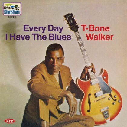 T. Bone Walker - Everyday I Have The Blues