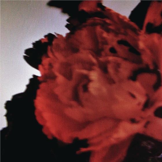 John Legend - All Of Me