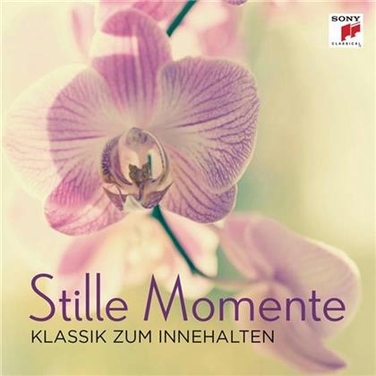Divers - Stille Momente - Klassik Zum Innehalten
