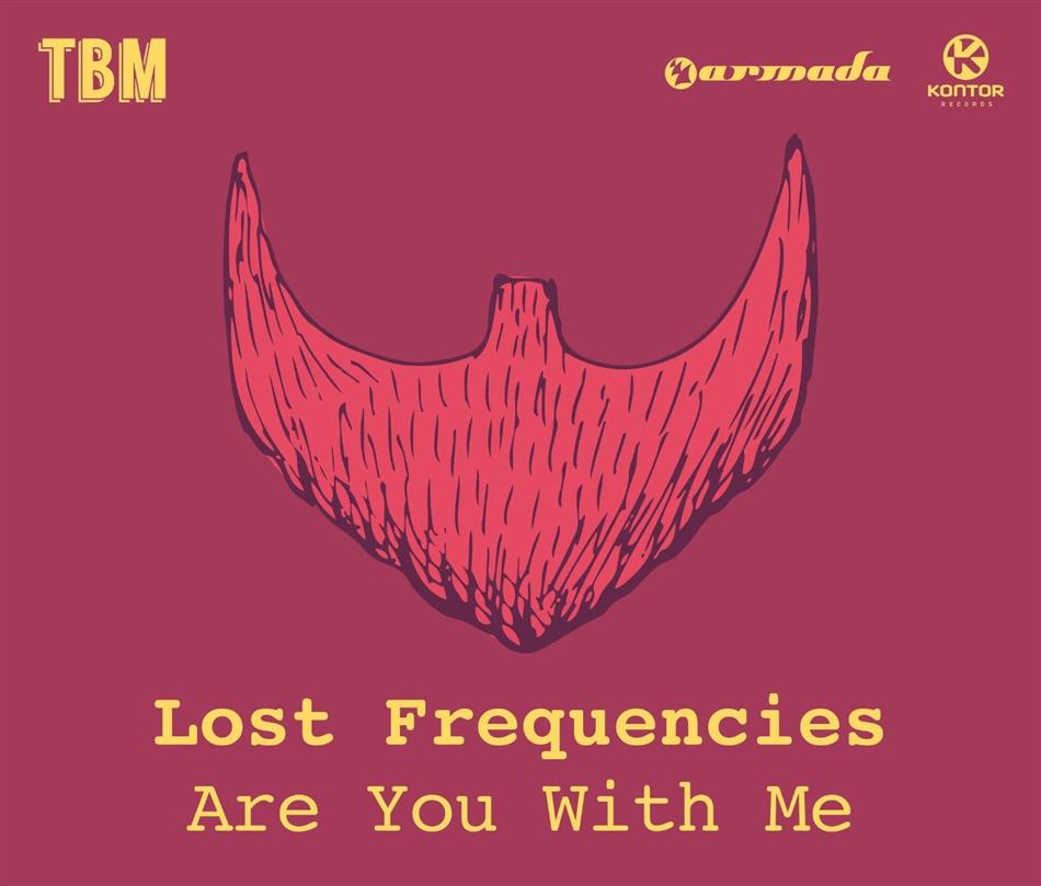 Lost Frequencies - Are You With Me