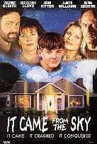 It came from the sky