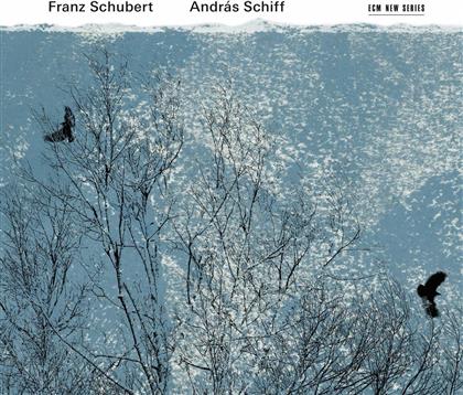 Franz Schubert (1797-1828) & Andras Schiff - Ungarische Melodie - Ungarische Melodie in h-moll D817, Klaviersonate in G-Dur D894 op78, Moments musicaux D780 op94, Allegretto in c-moll D9 (2 CD)
