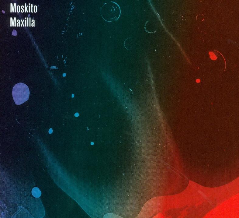 Moskito - Maxilla