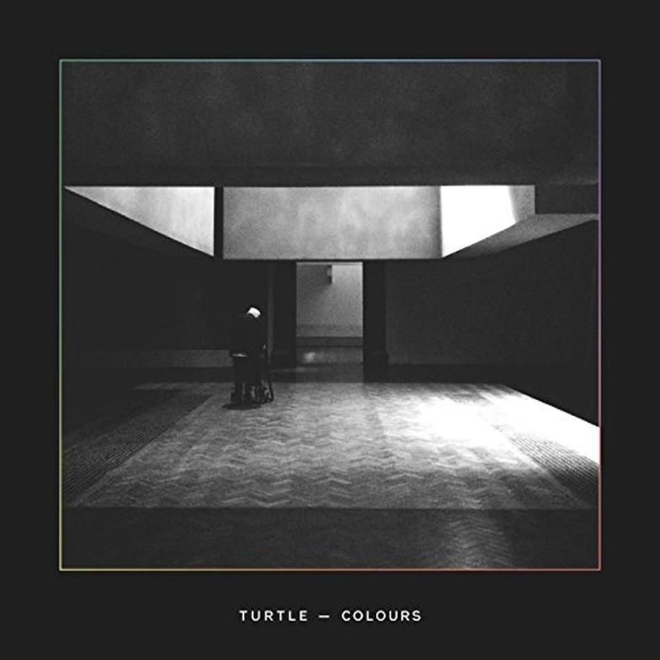 Turtle - Colours
