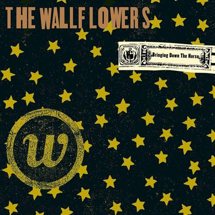 The Wallflowers - Bringing Down The Horse