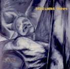 Screaming Trees - Dust