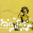 Cujo - Adventures In Foam