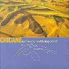 Chicane - Far From The Maddening Crowds