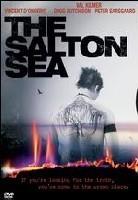 The salton sea