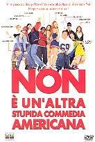 Non è un'altra stupida commedia americana