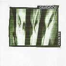 Divididos - Gol De Mujer