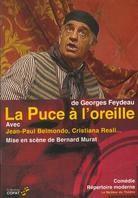 La puce à l'oreille