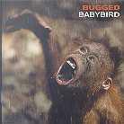 Babybird - Bugged