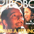 DJ Bobo & Irene Cara - What A Feeling