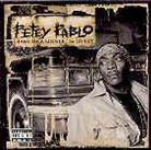 Petey Pablo - Diary Of A Sinner
