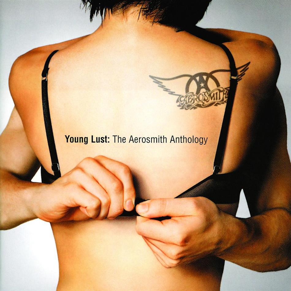 Aerosmith - Young Lust - Anthology 2 CDs