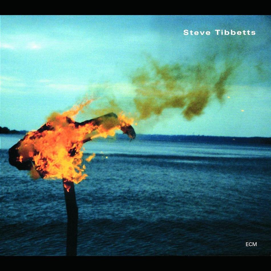 Steve Tibbetts - A Man About A Horse