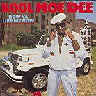 Kool Moe Dee - How Ya Like Me Now