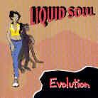 Liquid Soul - Evolution