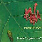 Kana - Plantation
