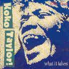 Koko Taylor - What It Takes