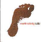 Martin Solveig - Suite