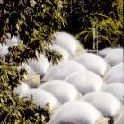 Philip Scheffner - A/C