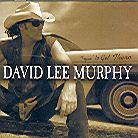 David Lee Murphy - Tryin To Get There