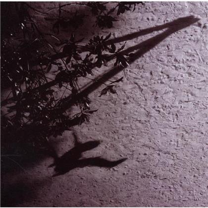 Max Richter - Blue Notebooks