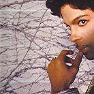 Prince - Musicology