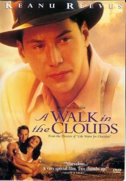 Les vendanges de feu (1995)