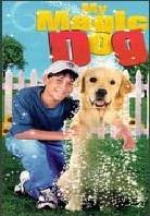 My magic dog