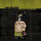 Ray Wilson - These Are The Changes