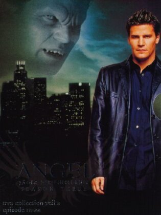 Angel - J&auml;ger der Finsternis - Staffel 3 - Episoden 12-22 (3 DVDs)